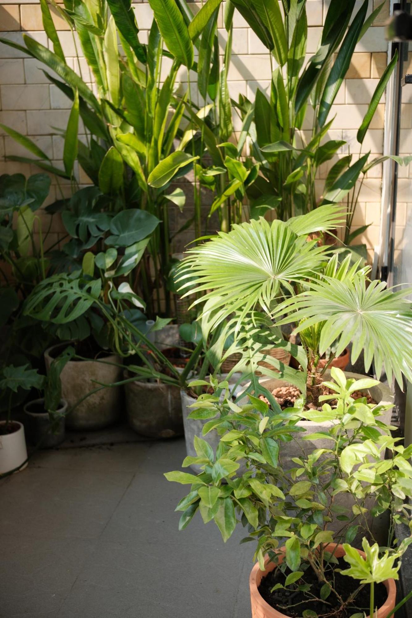Glory Hue Homestay Exterior photo