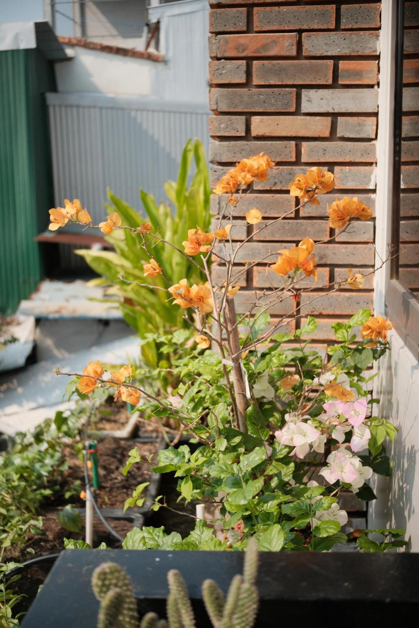 Glory Hue Homestay Exterior photo